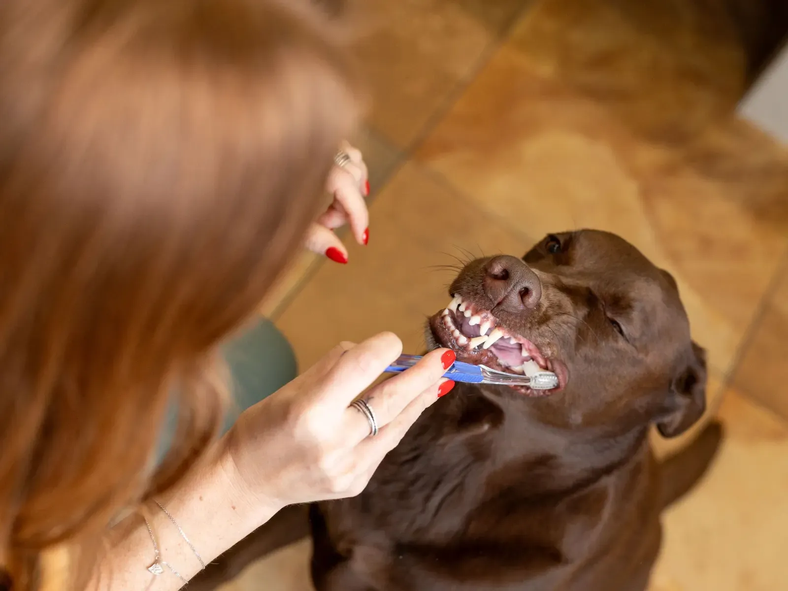 Smiling member of the Refined Smiles care team